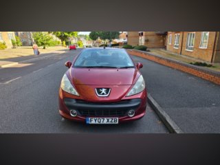 /photos/10626/a21404b5-6ad8-9f90-ab35-3dbbde8653bf_i320x240.jpg