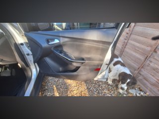 /photos/10626/f012a463-9913-4dd2-648d-e39751c9c14d_i320x240.jpg